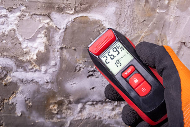 Best Post-Flood Mold Remediation in Sawyerwood, OH