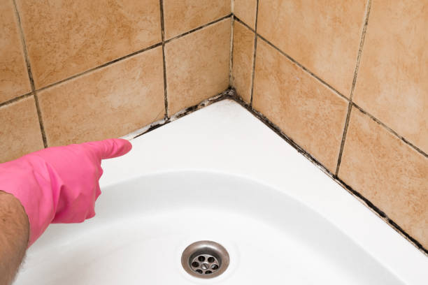 Best Mold Testing and Inspection Services in Sawyerwood, OH